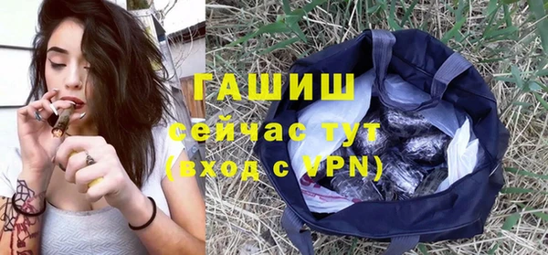 эйфоретик Бородино