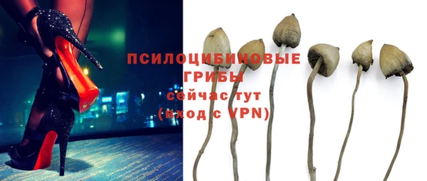 герыч Бронницы