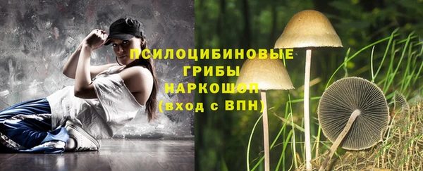 эйфоретик Бородино