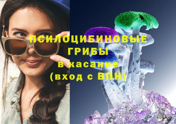 твердый Верея