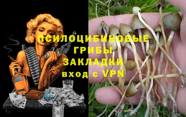 герыч Бронницы