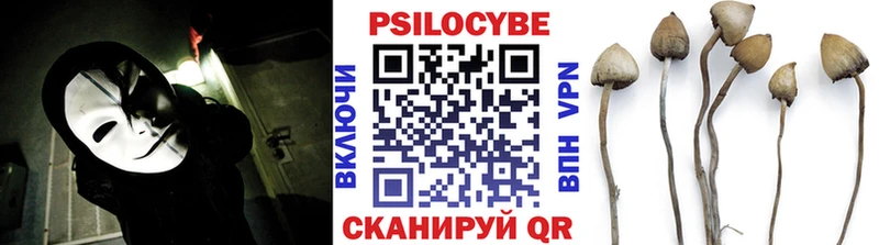 Псилоцибиновые грибы Cubensis  mega зеркало  Миньяр  дарнет шоп 